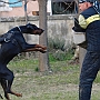 Alfare Sheridano Le Fano