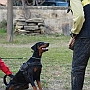 Alfare Sheridano Le Fano