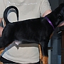 Bruce - 6 weeks